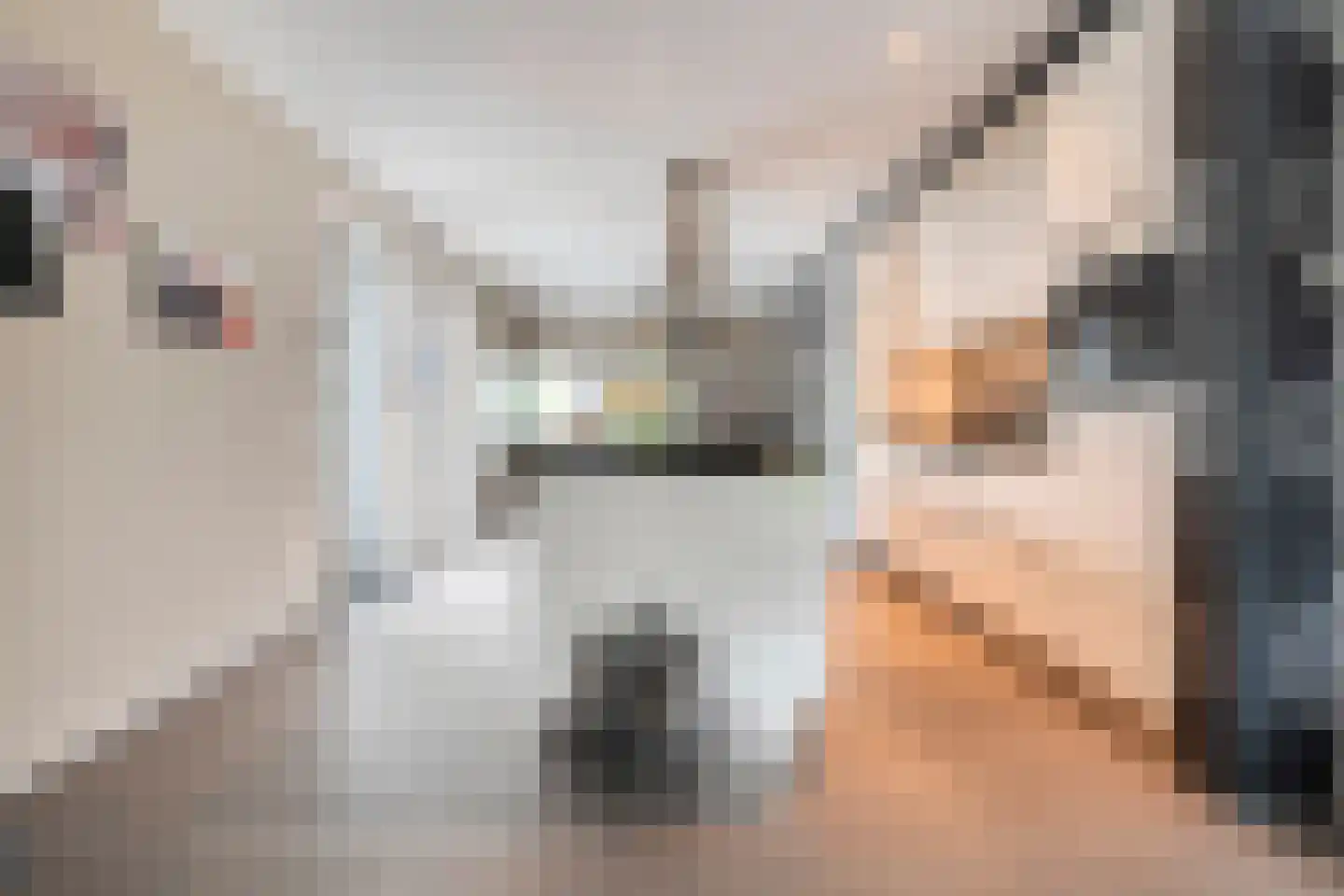 Nijerwalstraat 6 Zwolle thumbnail 16