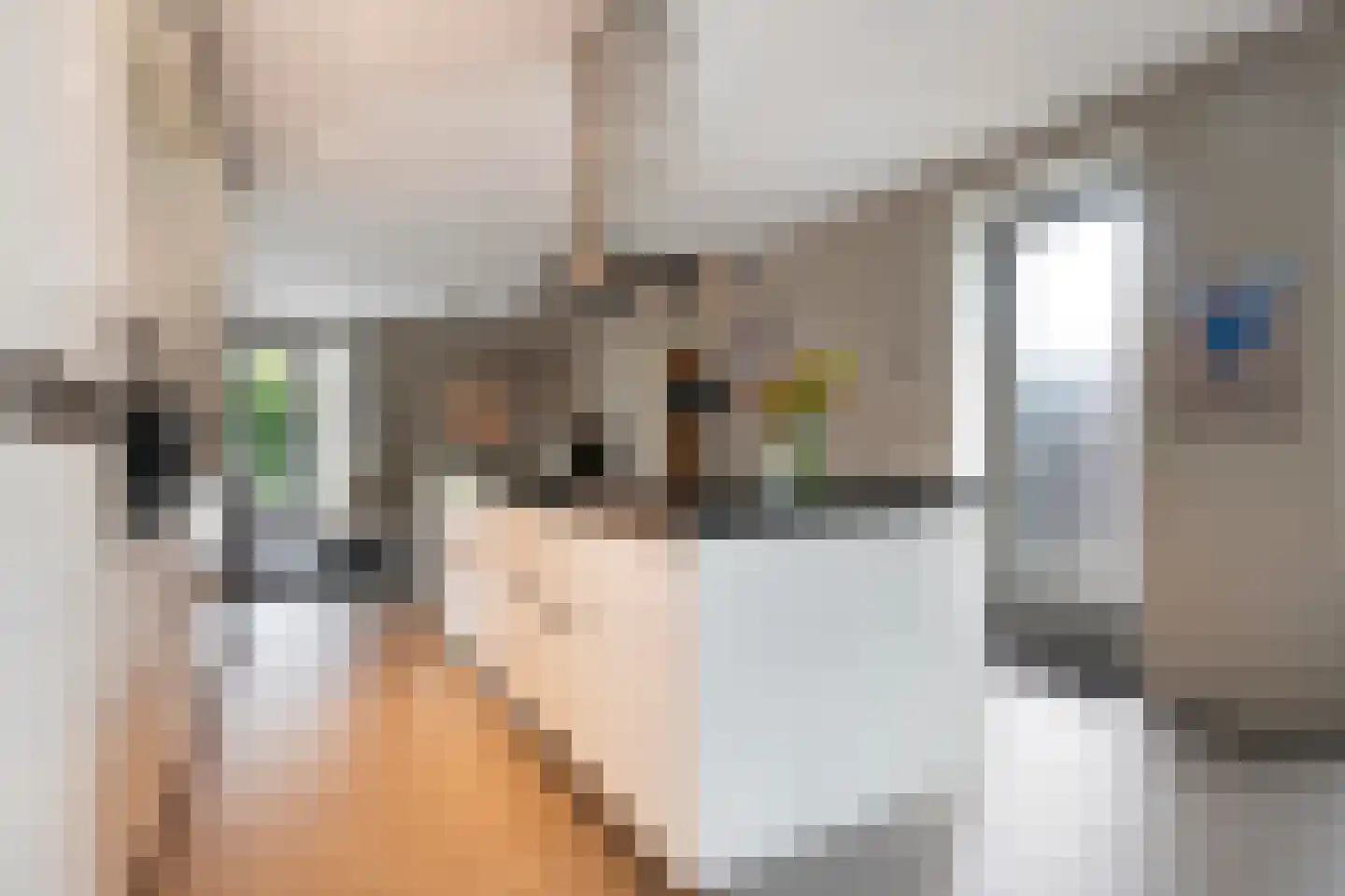 Nijerwalstraat 6 Zwolle thumbnail 21