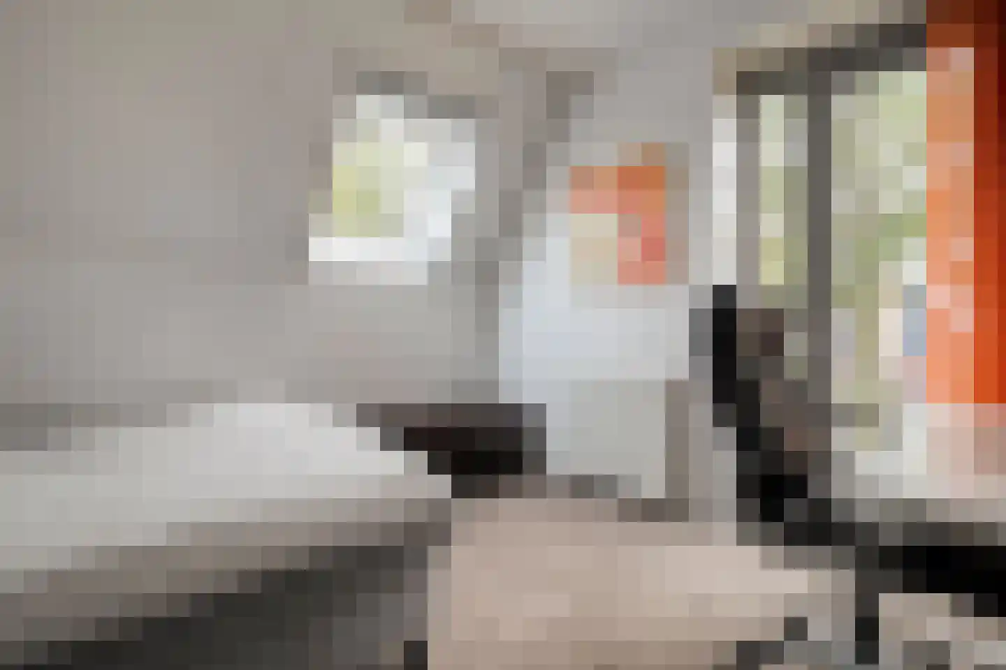 Nijerwalstraat 6 Zwolle thumbnail 31