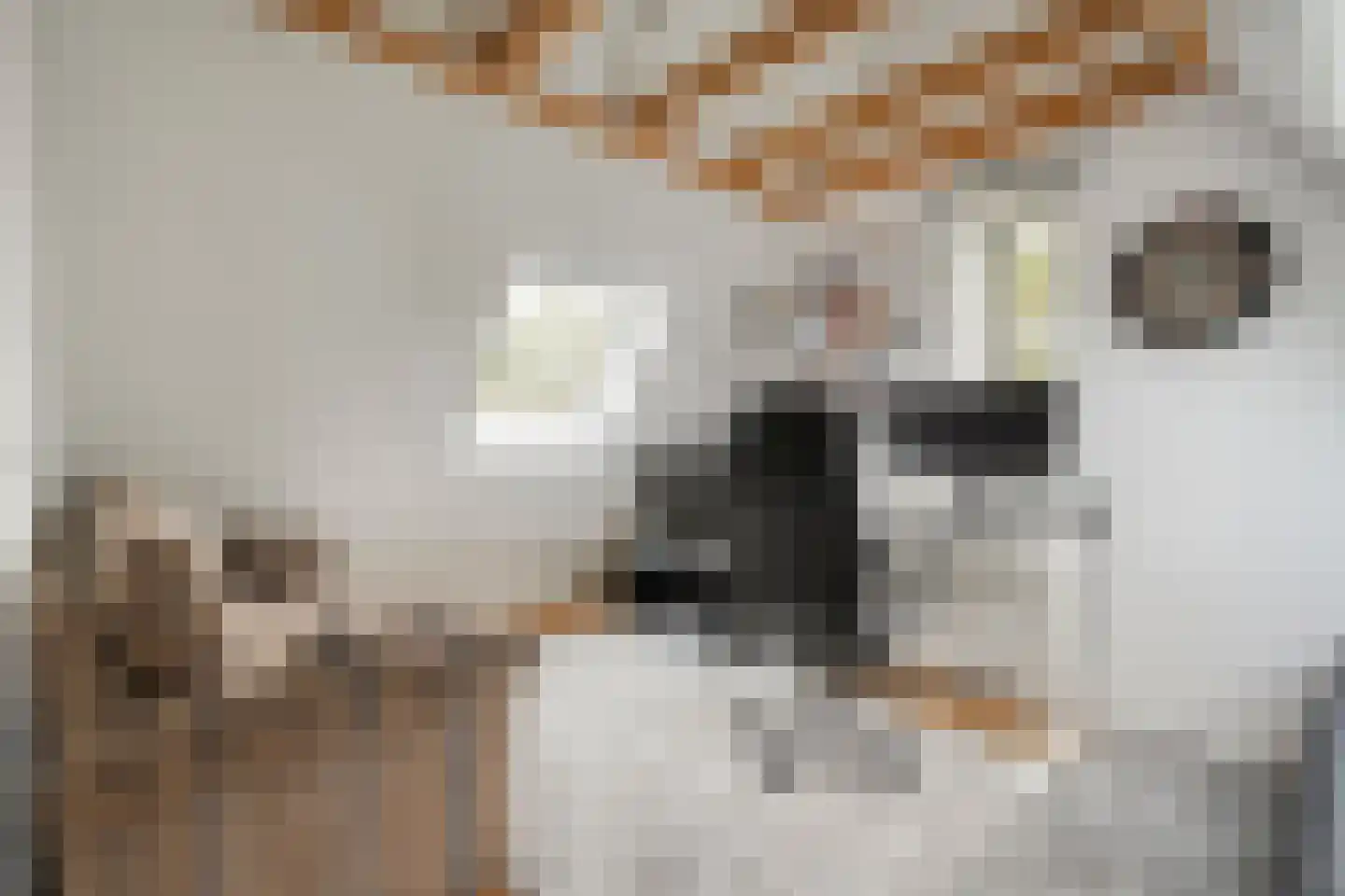 Nijerwalstraat 6 Zwolle thumbnail 39