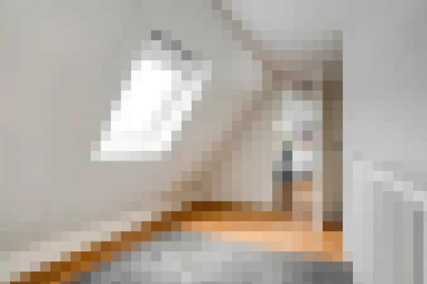 Nijerwalstraat 6 Zwolle thumbnail 40