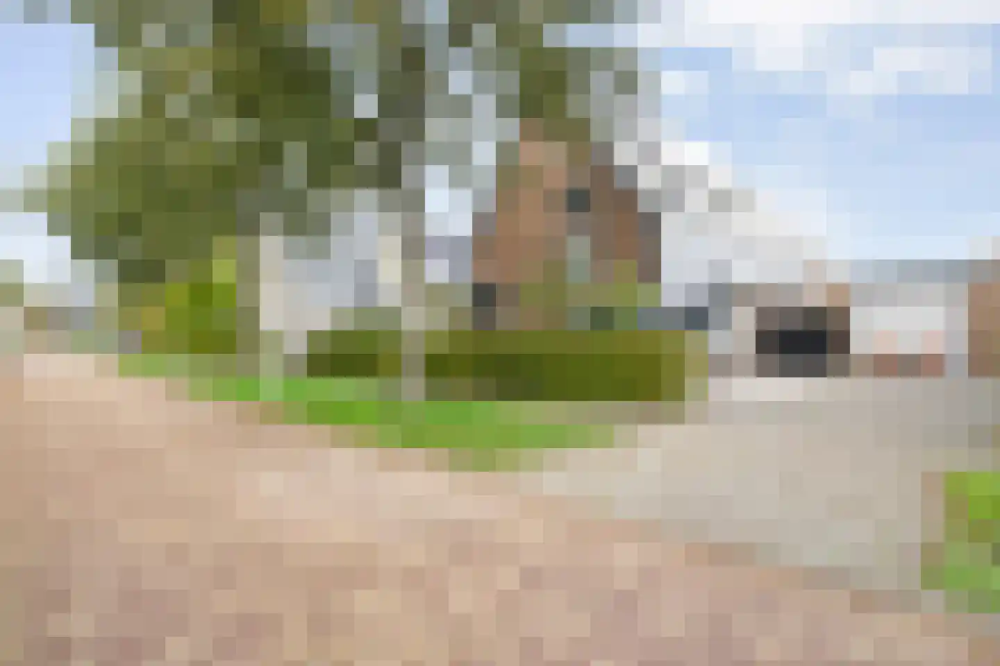 Nijerwalstraat 6 Zwolle thumbnail 5