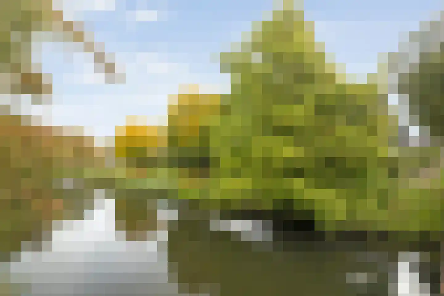 Nijerwalstraat 6 Zwolle thumbnail 54