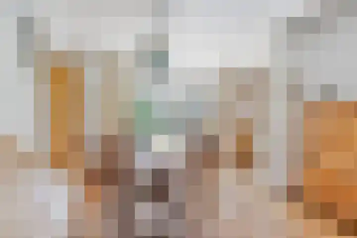 Nijesteegde 41 Appelscha thumbnail 10