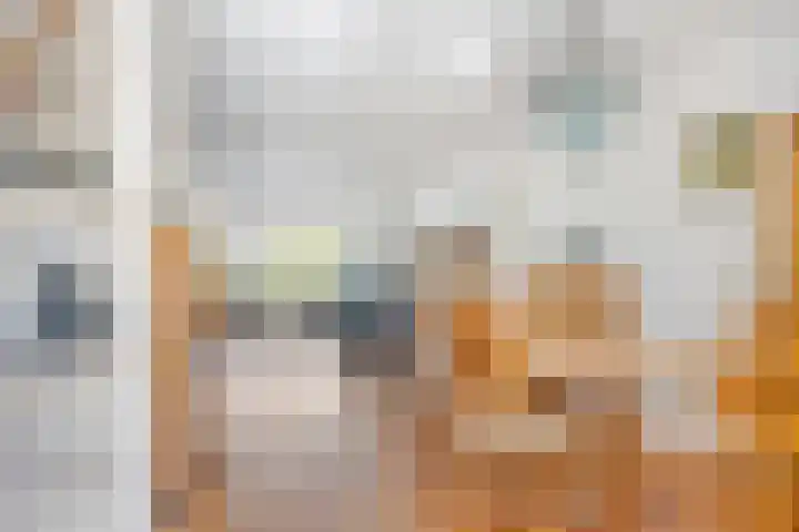 Nijesteegde 41 Appelscha thumbnail 12