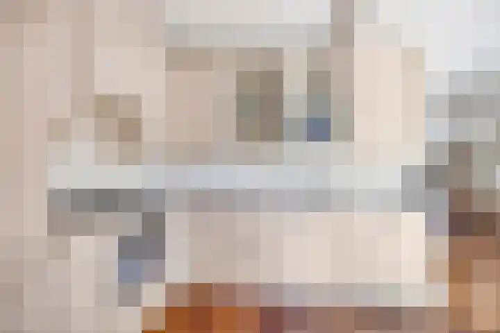 Nijesteegde 41 Appelscha thumbnail 15