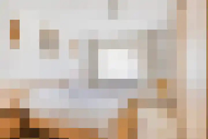 Nijesteegde 41 Appelscha thumbnail 19