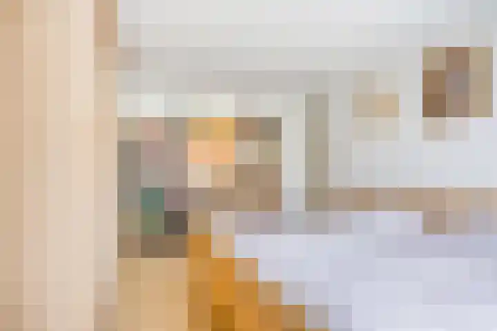 Nijesteegde 41 Appelscha thumbnail 20