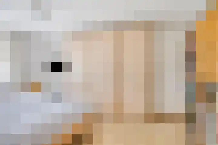 Nijesteegde 41 Appelscha thumbnail 21