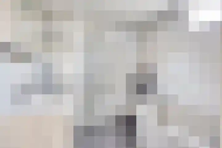 Nijesteegde 41 Appelscha thumbnail 22