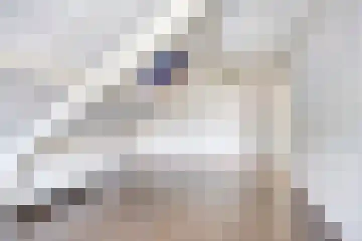 Nijesteegde 41 Appelscha thumbnail 31