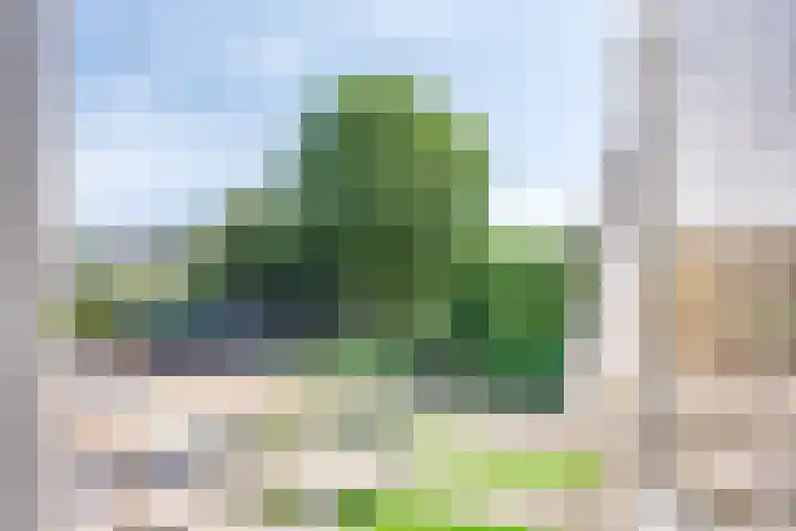 Nijesteegde 41 Appelscha thumbnail 32