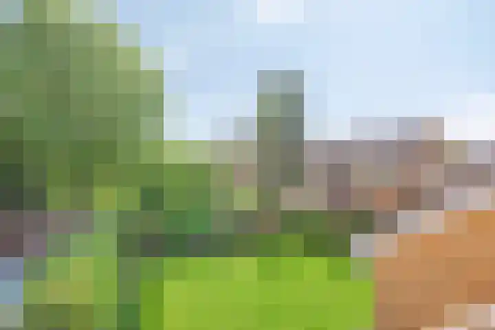 Nijesteegde 41 Appelscha thumbnail 33