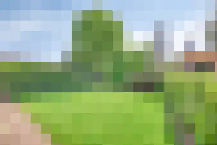 Nijesteegde 41 Appelscha thumbnail 35