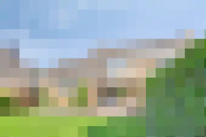 Nijesteegde 41 Appelscha thumbnail 37