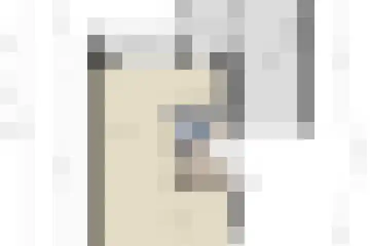 Nijesteegde 41 Appelscha thumbnail 39