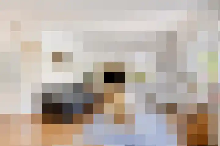 Nijesteegde 41 Appelscha thumbnail 6