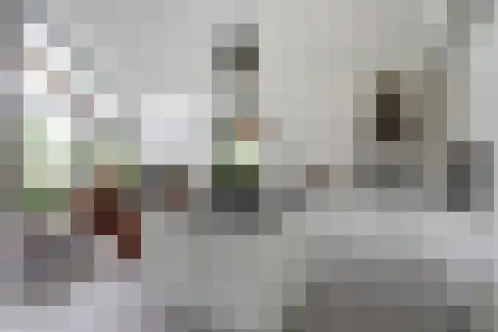 Nijesteegde 50 C Appelscha thumbnail 10