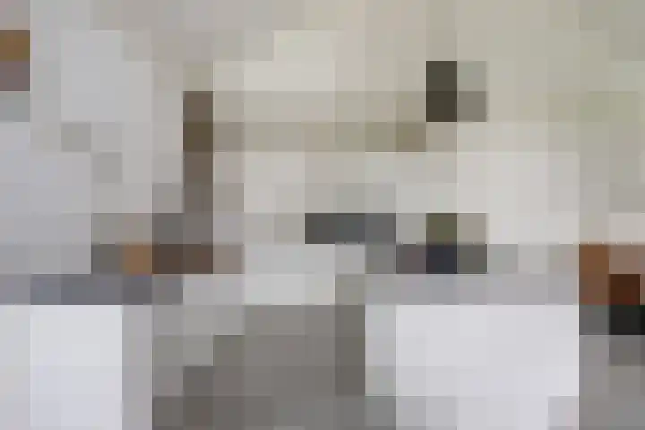 Nijesteegde 50 C Appelscha thumbnail 11