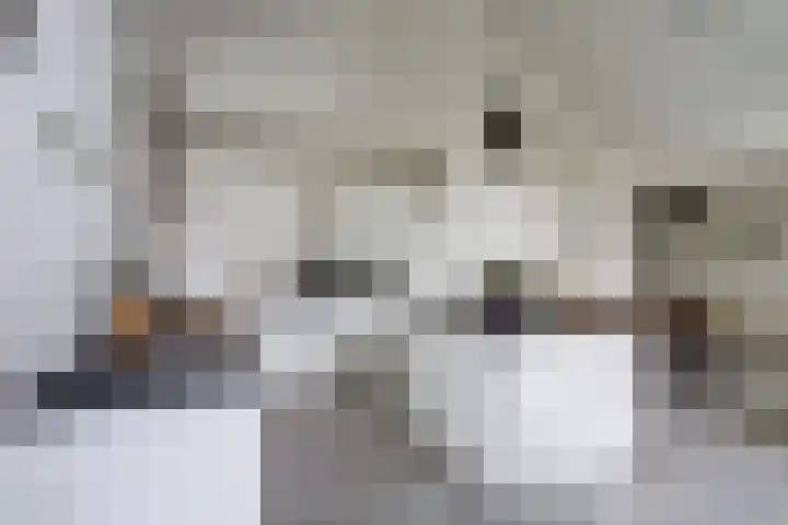 Nijesteegde 50 C Appelscha thumbnail 12