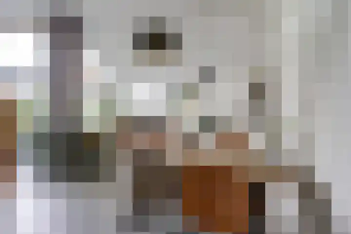 Nijesteegde 50 C Appelscha thumbnail 13