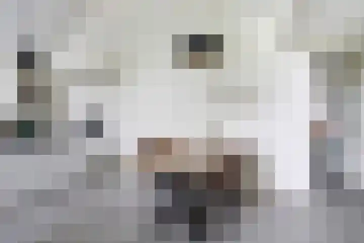 Nijesteegde 50 C Appelscha thumbnail 15