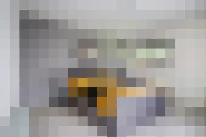 Nijesteegde 50 C Appelscha thumbnail 21