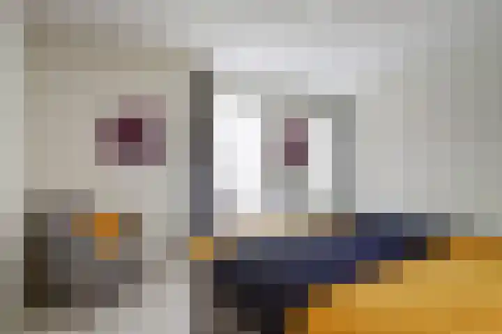 Nijesteegde 50 C Appelscha thumbnail 22