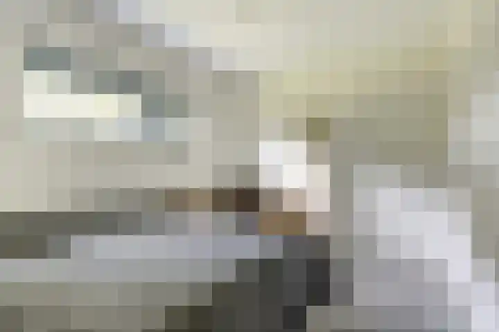 Nijesteegde 50 C Appelscha thumbnail 24