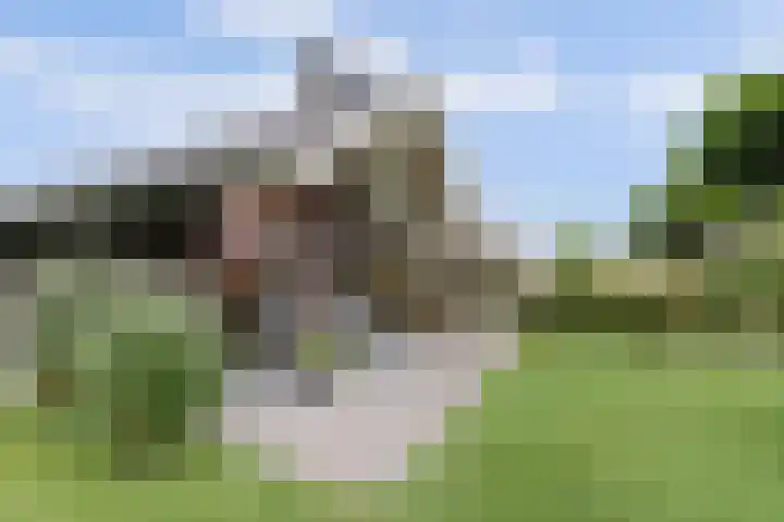 Nijesteegde 50 C Appelscha thumbnail 29