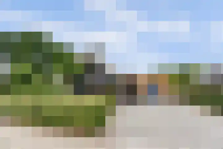 Nijesteegde 50 C Appelscha thumbnail 30