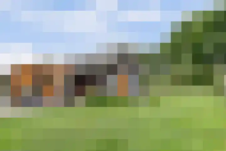 Nijesteegde 50 C Appelscha thumbnail 35