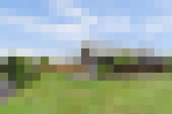 Nijesteegde 50 C Appelscha thumbnail 36