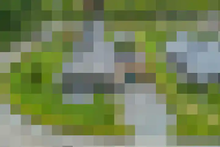 Nijesteegde 50 C Appelscha thumbnail 37
