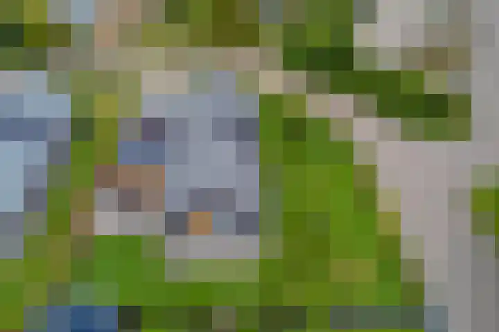 Nijesteegde 50 C Appelscha thumbnail 39