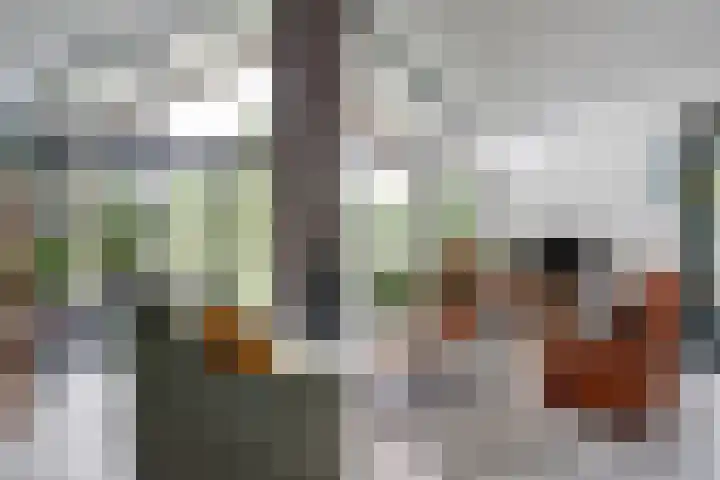 Nijesteegde 50 C Appelscha thumbnail 4