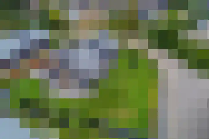 Nijesteegde 50 C Appelscha thumbnail 40