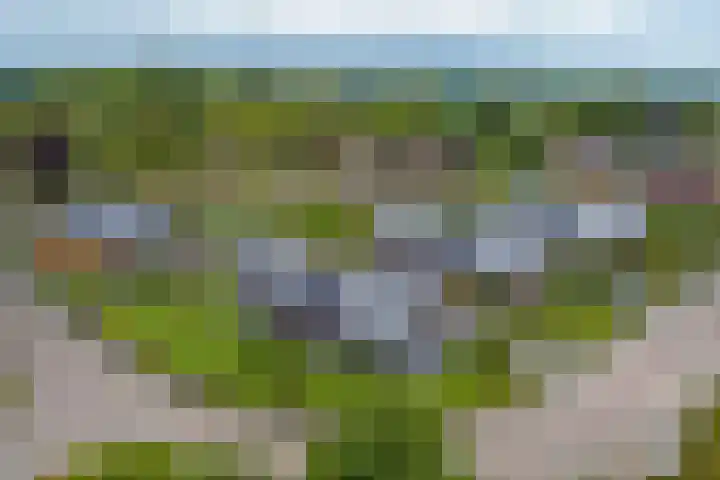 Nijesteegde 50 C Appelscha thumbnail 41