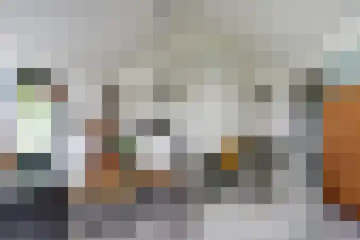 Nijesteegde 50 C Appelscha thumbnail 6
