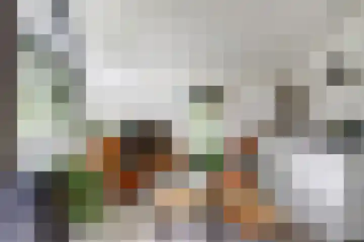 Nijesteegde 50 C Appelscha thumbnail 7