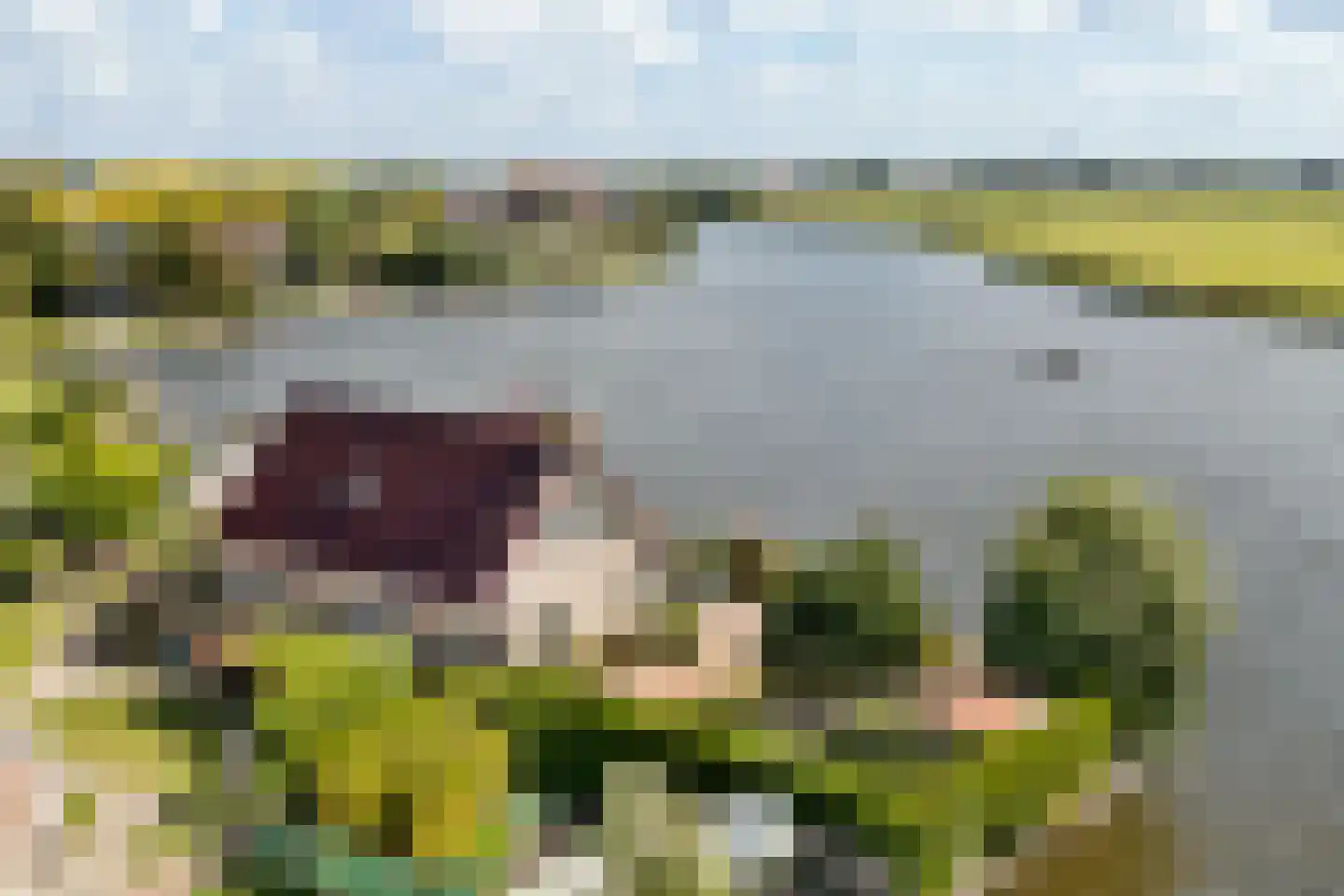 Nijesyl 46 IJlst