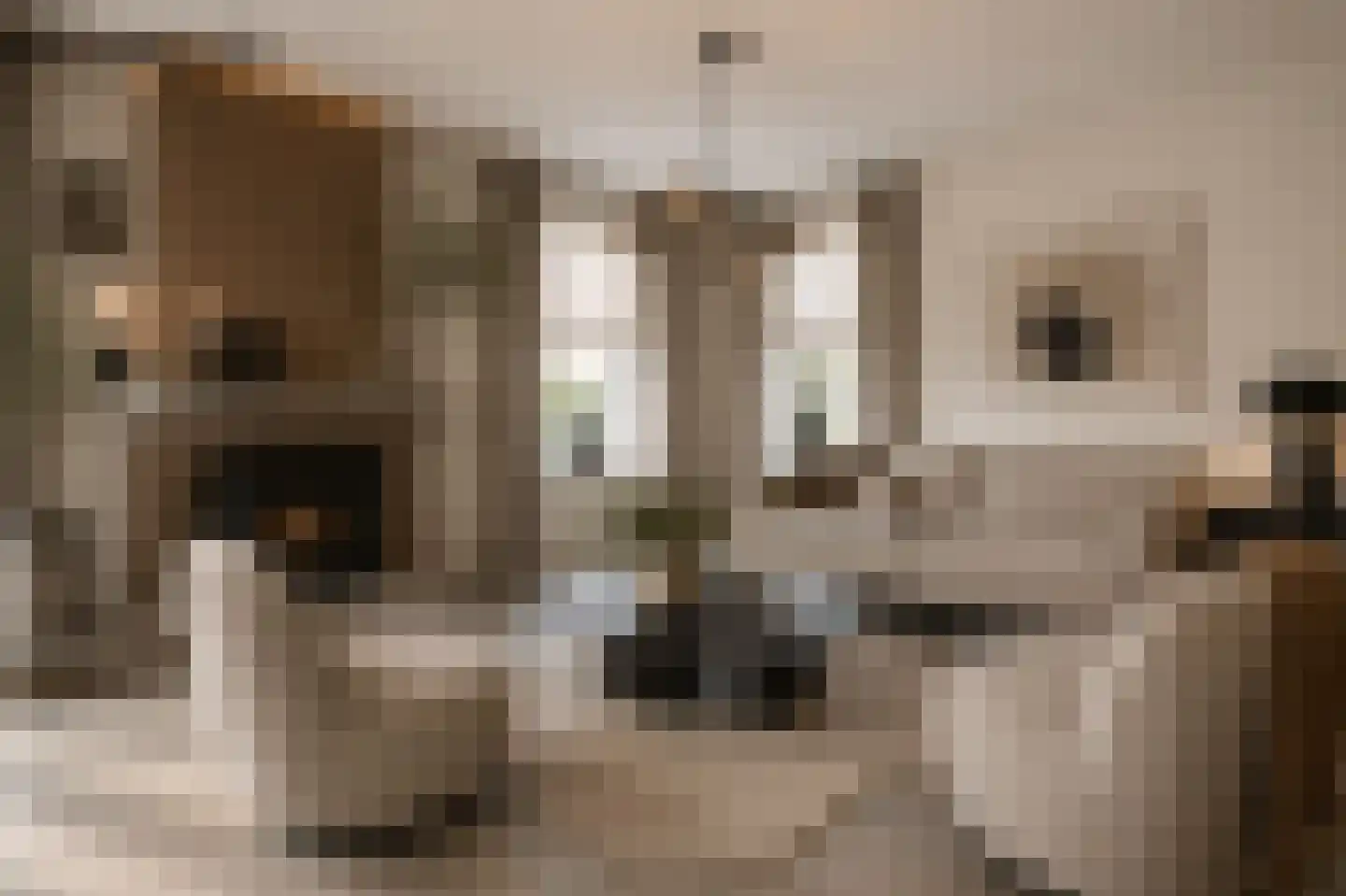 Nijesyl 46 IJlst thumbnail 10