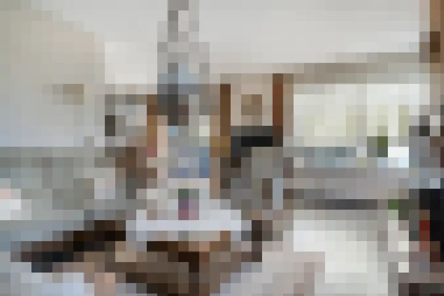 Nijesyl 46 IJlst thumbnail 10