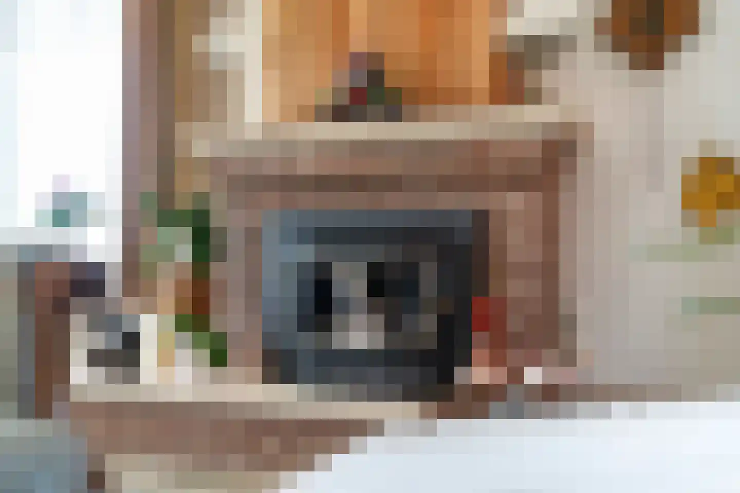 Nijesyl 46 IJlst thumbnail 11
