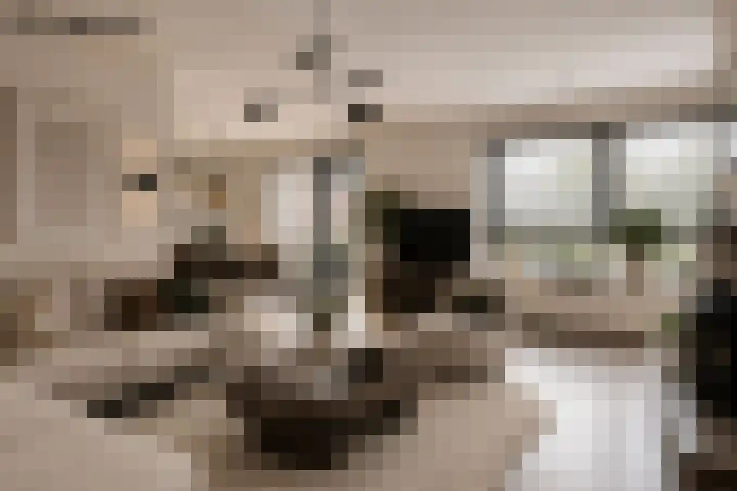 Nijesyl 46 IJlst thumbnail 12