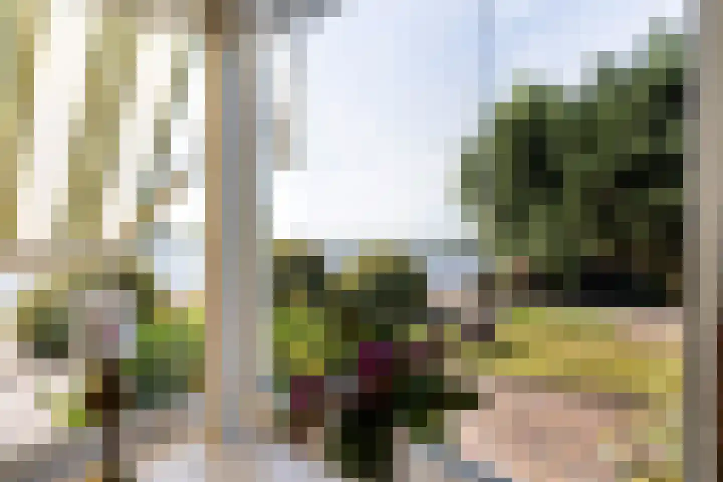 Nijesyl 46 IJlst thumbnail 12