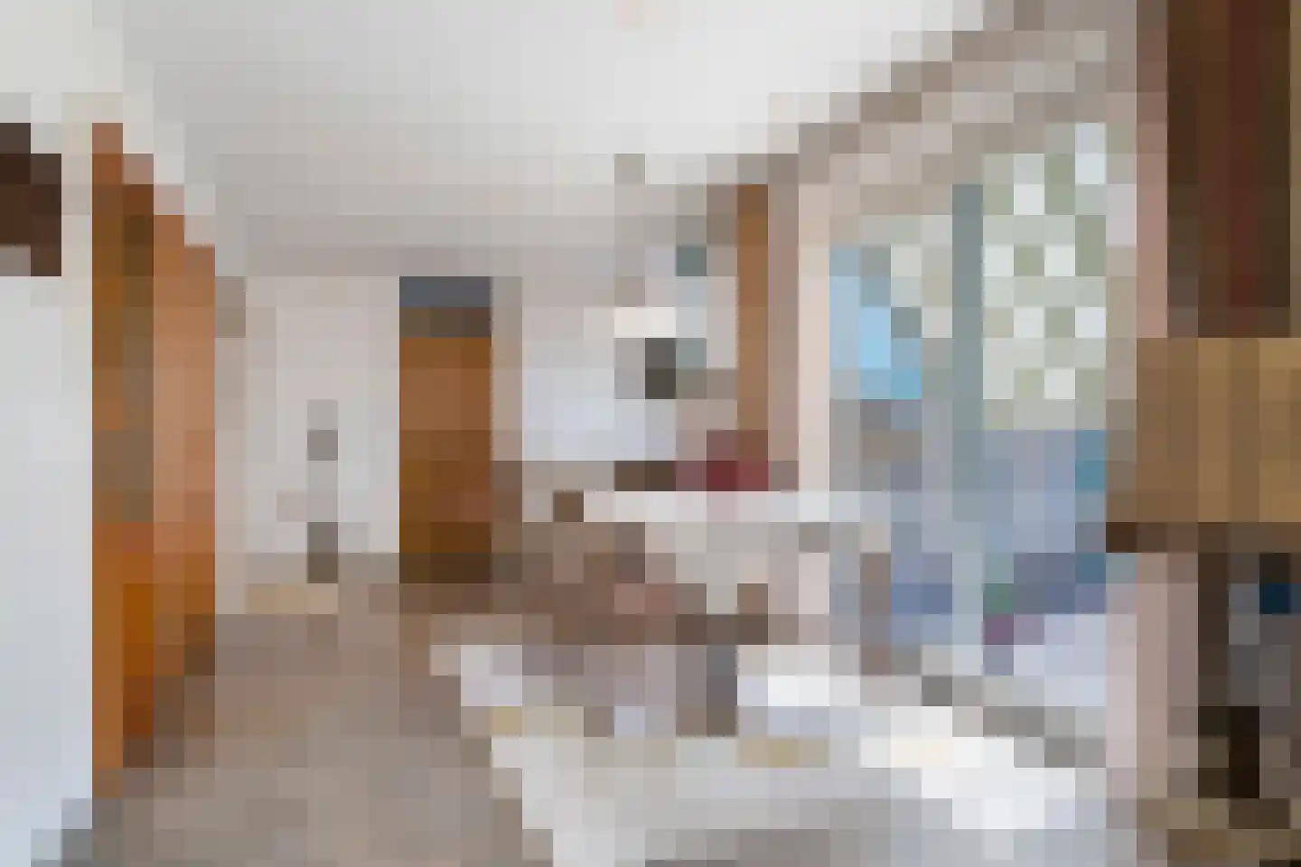 Nijesyl 46 IJlst thumbnail 13