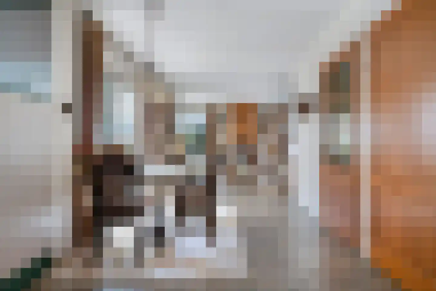 Nijesyl 46 IJlst thumbnail 14