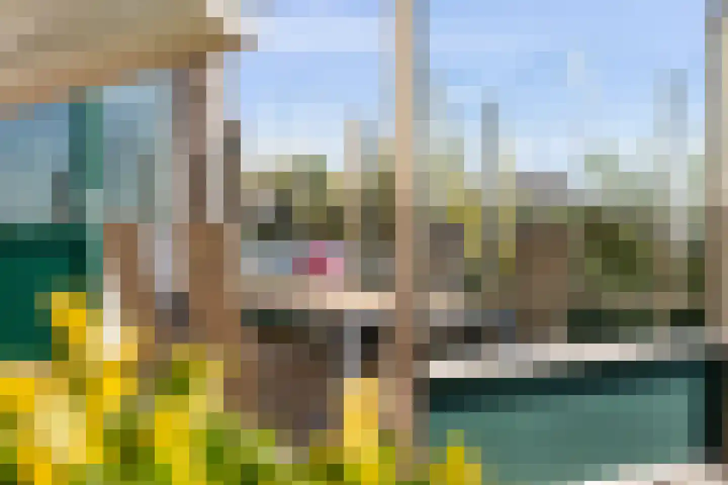 Nijesyl 46 IJlst thumbnail 42
