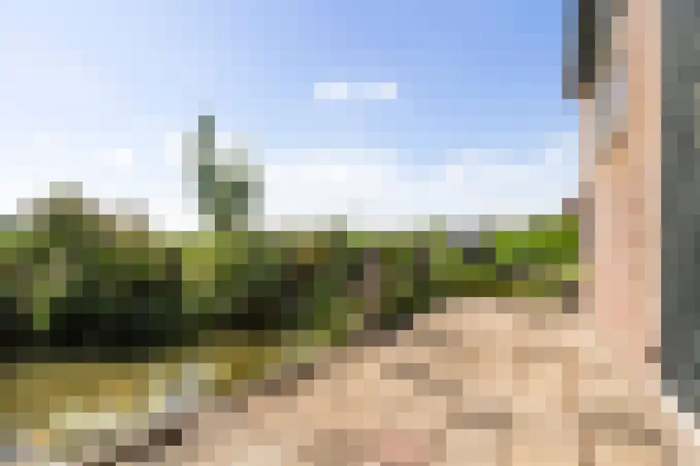 Nijesyl 46 IJlst thumbnail 48